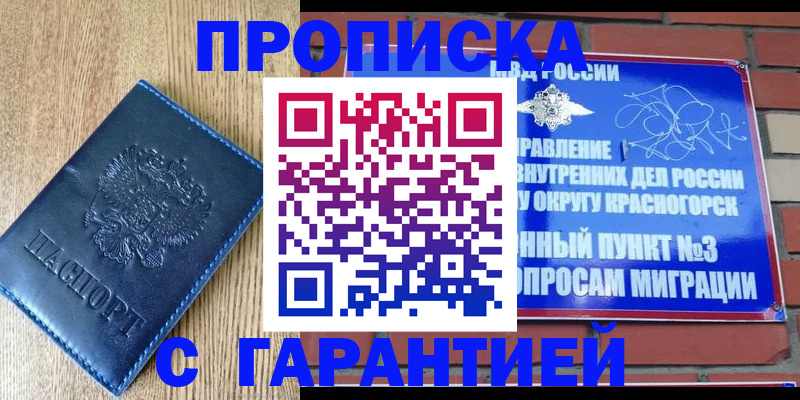 регистрация в Вышнем Волочке